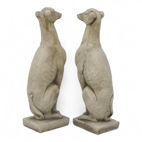 97 - A pair of reconstituted stone whippets - height 57cm.