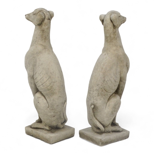 97 - A pair of reconstituted stone whippets - height 57cm.