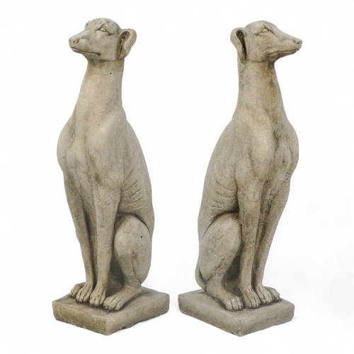 97 - A pair of reconstituted stone whippets - height 57cm.