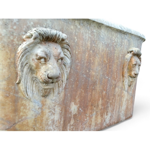 102 - A fine 18th/19th century Carrara marble bath - of tapering oval form and carved with lion masks 181c... 