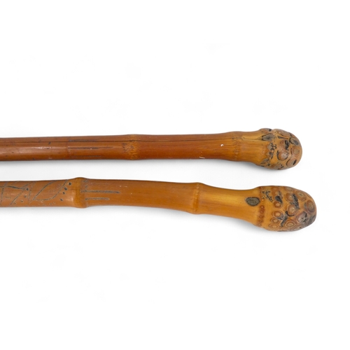 105 - A late 19th century alpine walking stick - with goat's horn handle, marked 'Fluelen' and terminating... 