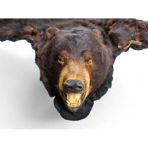 113 - A taxidermy juvenile bear rug - the stuffed head with mouth agape, the paws incorporating claws, bac... 