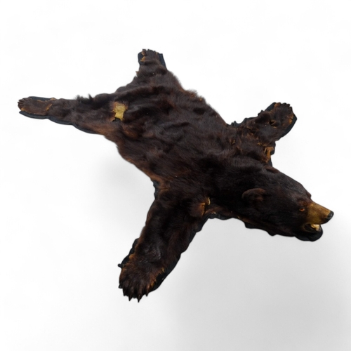 113 - A taxidermy juvenile bear rug - the stuffed head with mouth agape, the paws incorporating claws, bac... 