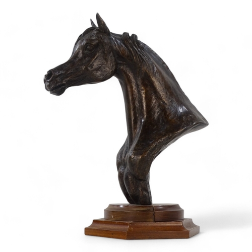 43 - # David CORNELL (b. 1935) Horse Head Bronze  Raised on a wooden socle base Signed Height 28cm