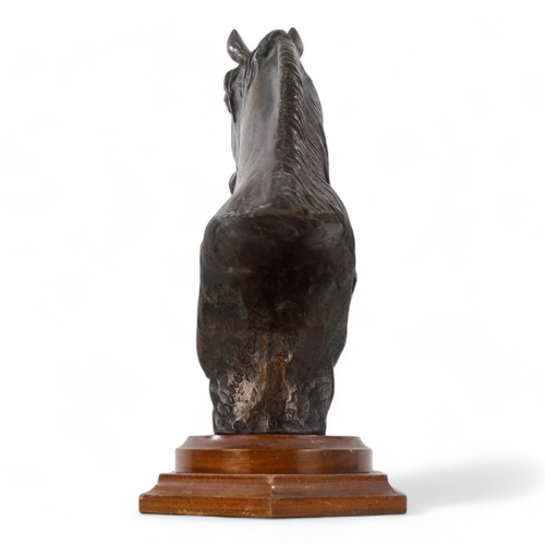 43 - # David CORNELL (b. 1935) Horse Head Bronze  Raised on a wooden socle base Signed Height 28cm