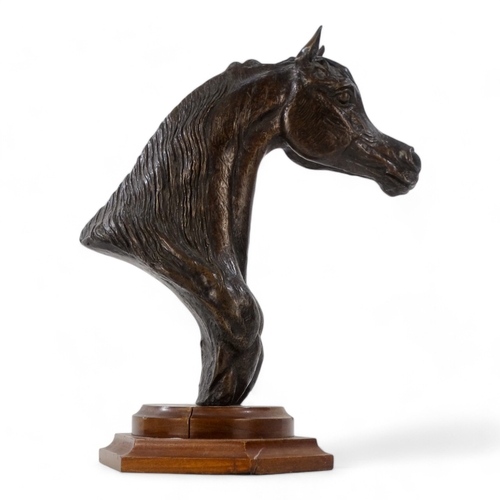 43 - # David CORNELL (b. 1935) Horse Head Bronze  Raised on a wooden socle base Signed Height 28cm