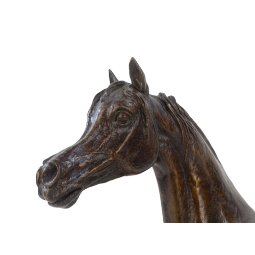 43 - # David CORNELL (b. 1935) Horse Head Bronze  Raised on a wooden socle base Signed Height 28cm