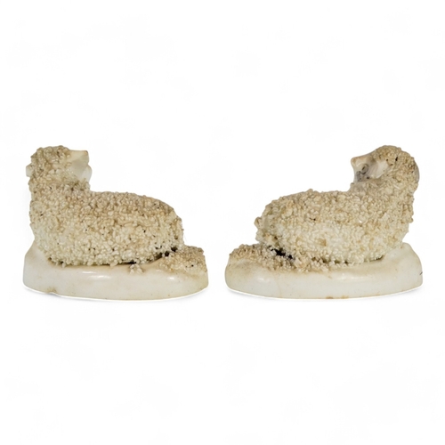 214 - A pair of mid 19th century Staffordshire sheep - moulded on oval bases with a gilt line, 8cm wide, t... 