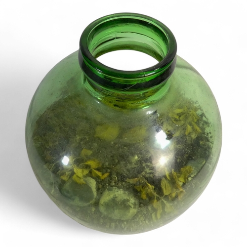 25 - A green glass globe shaped terrarium - 37cm high.