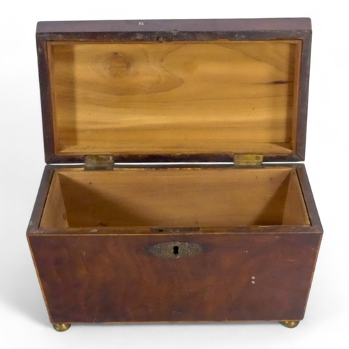 68 - A Georgian mahogany tea caddy - of sarcophagus form with a void interior, raised on ball feet, 26cm ... 