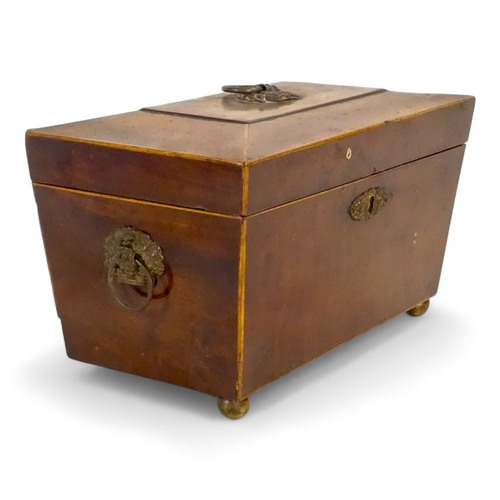 68 - A Georgian mahogany tea caddy - of sarcophagus form with a void interior, raised on ball feet, 26cm ... 