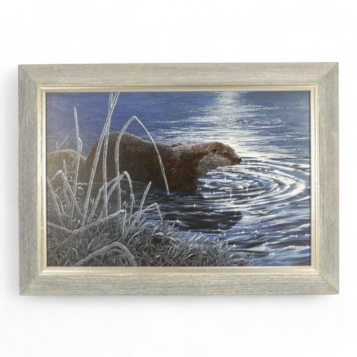 789 - Stephen CUMMINS (British b. 1943) Otter In The Frost Oil on canvas Signed lower right  Framed Pictur... 