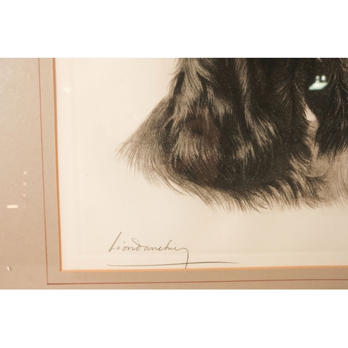 734 - Leon DAUCHIN (French 1887-1939) A Pair Of Spaniels Lithograph Signed in pencil lower left  Framed an... 