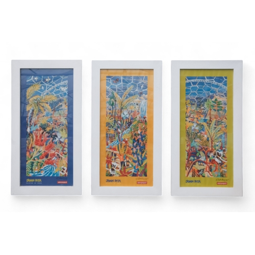 791 - John DYER (b. 1968) Painter Of Eden Three signed posters Framed and glazed  Each picture size 79 x 3... 