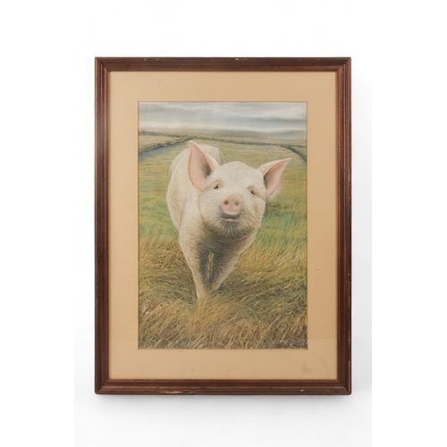 796 - Mick WOODS (British Contemporary) Pig In A Field Pastel on paper Signed lower right Framed and glaze... 