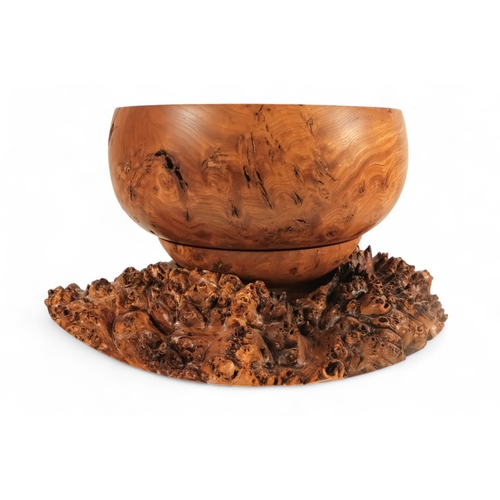 84 - Noreen Atkinson, British contemporary turned burr poplar bowl - signed to base, together with two bu... 