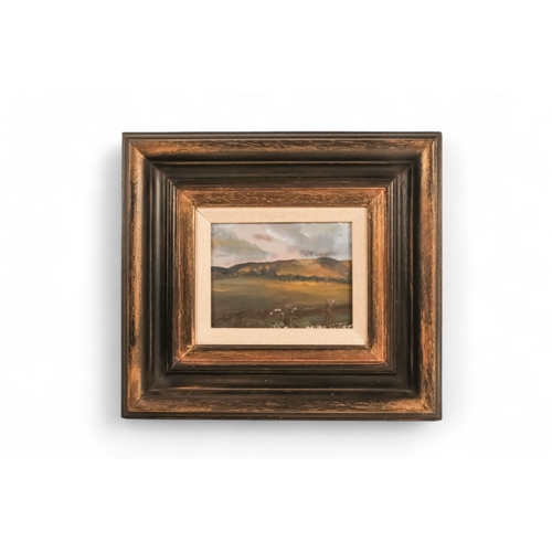 841 - 20th Century British School Extensive Landscape  Oil on board  Framed Picture size 10 x 13cm Overall... 