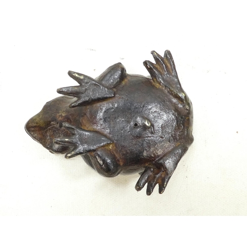 101 - A pair of late 19th century cast bronze frogs - with brown patination, 9cm wide. (2)