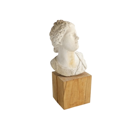 152 - A fine 18th century carved white Carrara marble Bust of Venus de Medici - looking to her left, her h... 