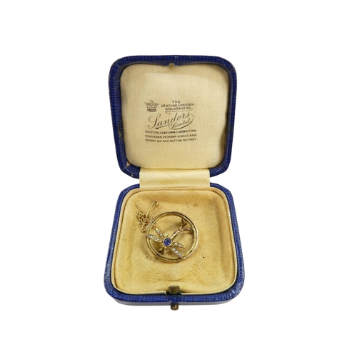 629 - A 9ct gold sapphire and pearl set brooch - annular and incorporating a dragonfly, 3g.