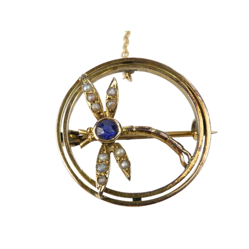 629 - A 9ct gold sapphire and pearl set brooch - annular and incorporating a dragonfly, 3g.