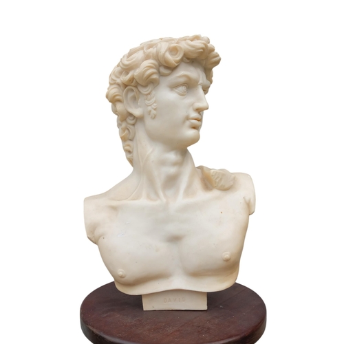 73 - A cast cream resin bust of David - raised on a spiral carved pedestal support with square base and b... 