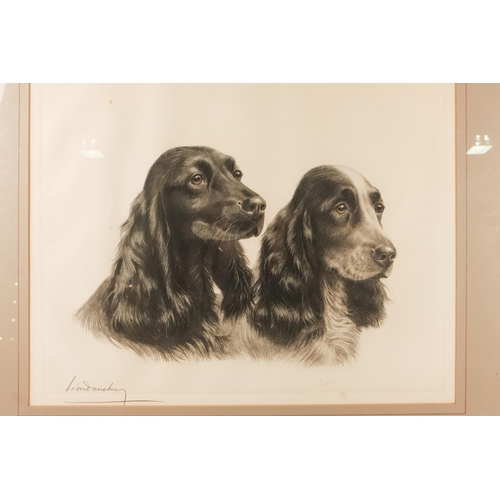 734 - Leon DAUCHIN (French 1887-1939) A Pair Of Spaniels Lithograph Signed in pencil lower left  Framed an... 