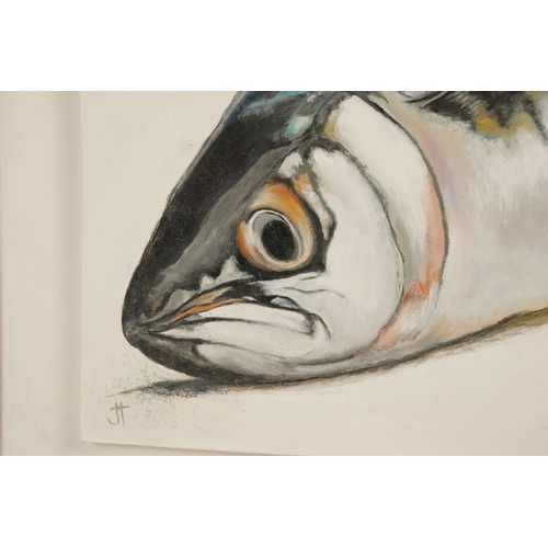 754 - Jan Merrick HORN (British b. 1948) Grumpy Mackerel Oil on board Initialled lower left and signed ver... 