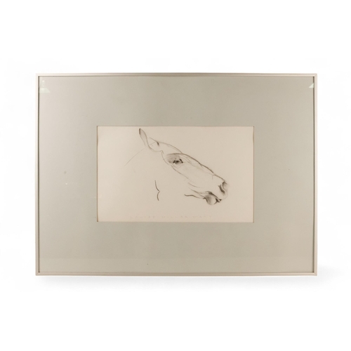 779 - Louise Millar WATT (b. 1963) Horse's Head Pencil on paper Signed lower edge Framed and glazed  Pictu... 