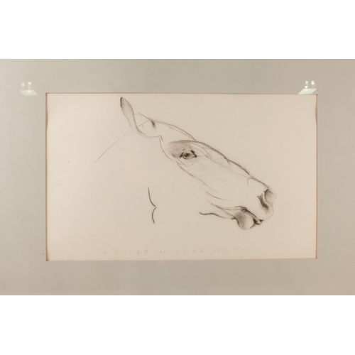 779 - Louise Millar WATT (b. 1963) Horse's Head Pencil on paper Signed lower edge Framed and glazed  Pictu... 