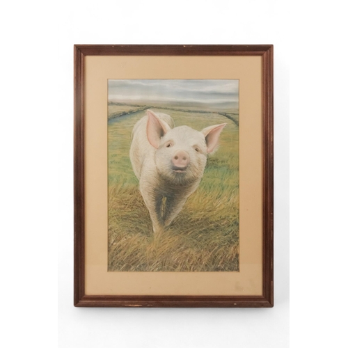 796 - Mick WOODS (British Contemporary) Pig In A Field Pastel on paper Signed lower right Framed and glaze... 