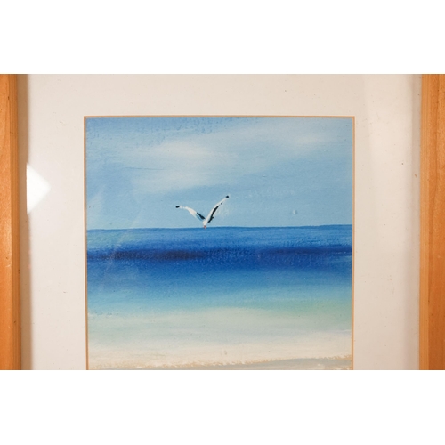 816 - Judi EMANUEL Seagull In Flight  Acrylic on board Initialled lower right Framed and glazed  Picture s... 