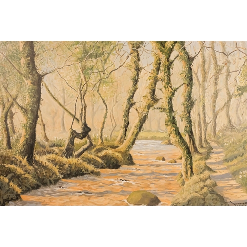 825 - David W WILLS (British 20th Century) Lamorna Woods  Oil on board  Signed lower right, titled verso F... 