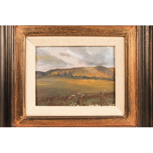 841 - 20th Century British School Extensive Landscape  Oil on board  Framed Picture size 10 x 13cm Overall... 