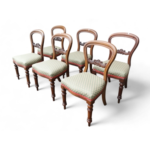 914 - A set of six Victorian walnut dining chairs - with balloon backs and overstuffed seats, on turned ta... 