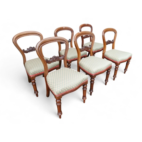 914 - A set of six Victorian walnut dining chairs - with balloon backs and overstuffed seats, on turned ta... 