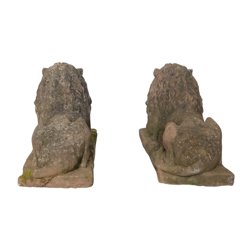 41 - A pair of reconstituted stone lions - recumbent, 73cm wide. (2)
