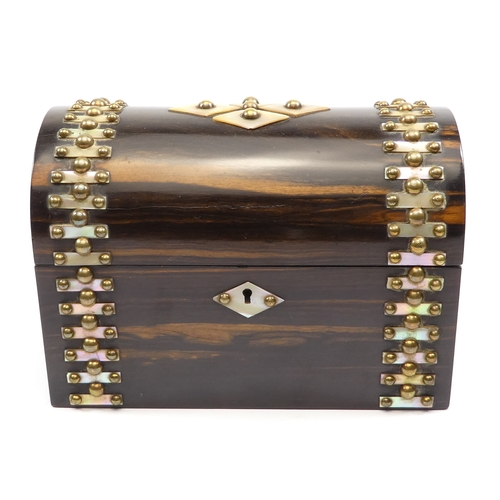 49 - A late Victorian coromandel stationery casket - with a domed cover and set with brass studs and moth... 