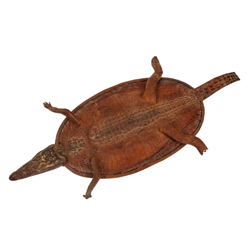 115 - A small taxidermy crocodile - the flattened body with stuffed head and limbs, 60cm long.
