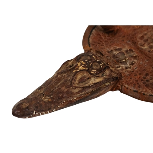 115 - A small taxidermy crocodile - the flattened body with stuffed head and limbs, 60cm long.