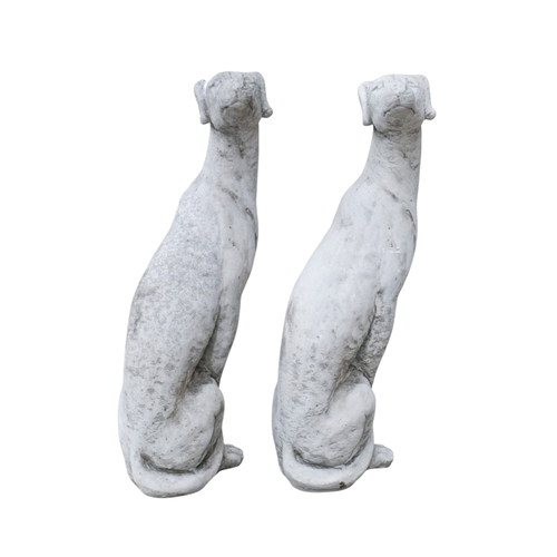 72 - A pair of reconstituted stone whippets - heads looking back, height 55cm.