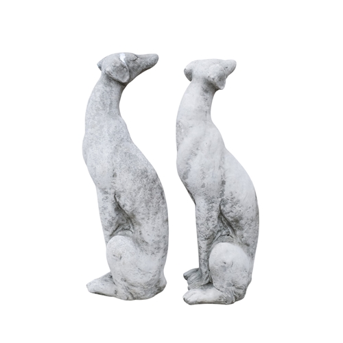 72 - A pair of reconstituted stone whippets - heads looking back, height 55cm.