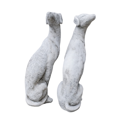 72 - A pair of reconstituted stone whippets - heads looking back, height 55cm.