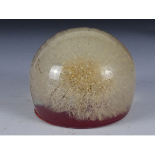 205 - A Wedgwood glass paperweight - set with an amber flower, 7cm diameter, together with four other simi... 