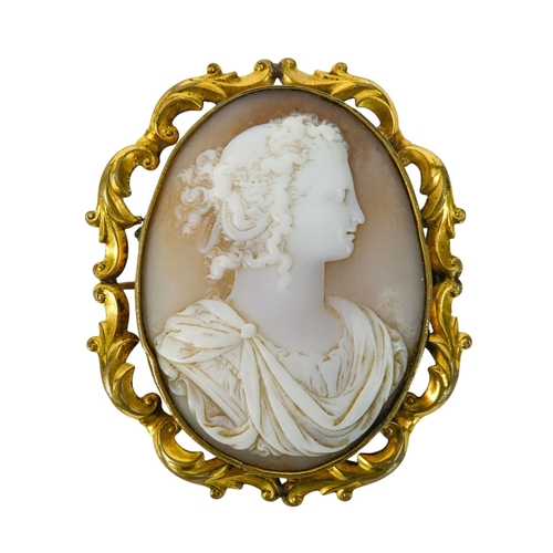 303 - An Italian 19th century cameo brooch - carved with a portrait of a young woman, within a foliate gil... 