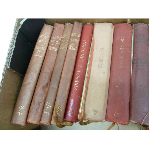 207 - Qty of vintage Ward travel guides & others