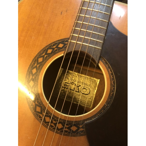 300 - EKO guitar with case