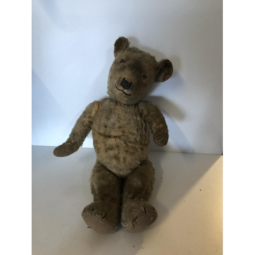 50 - Vintage bear