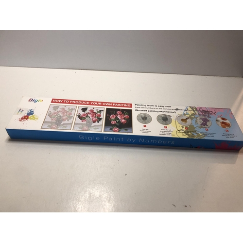 665 - Paint by numbers
Acrylic paint kit