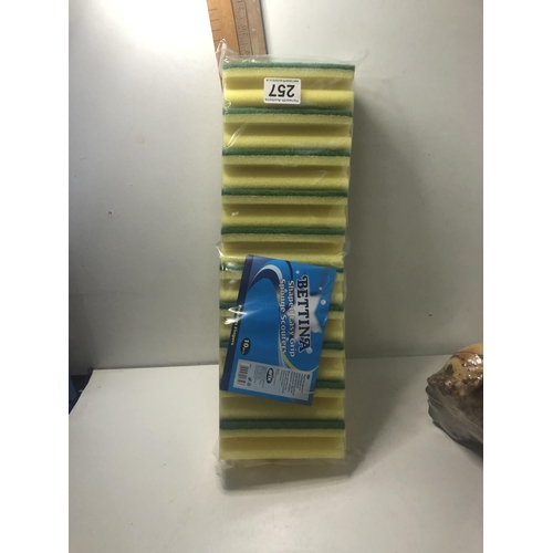 257 - X10 large sponge scourers